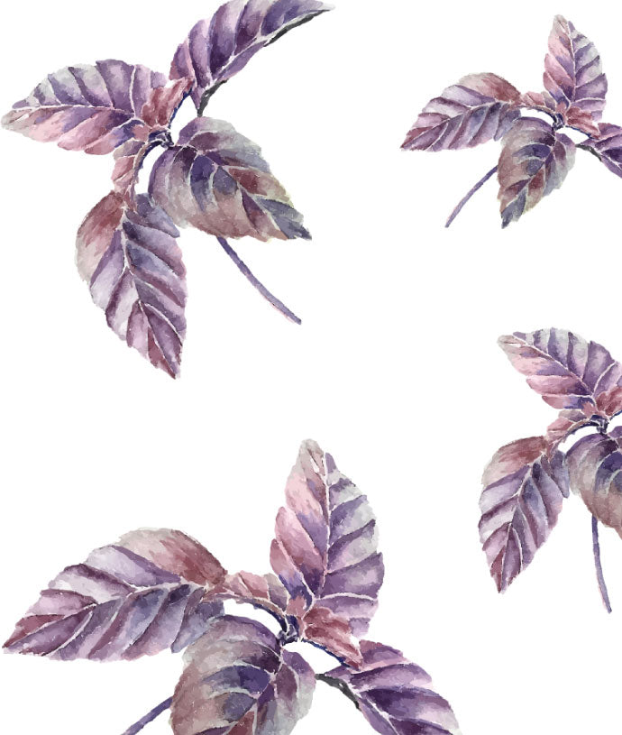 <h2 style="font-size: 40px;color: #bcce34;">WHY CHAO <b>CATERING</b>
</h2>