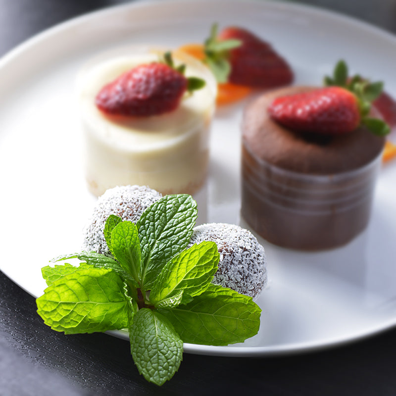 Vegan Bounty Protein Ball